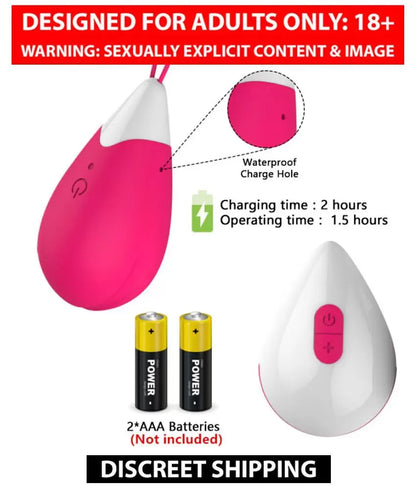 Evolved Remote Control Egg Vibrator