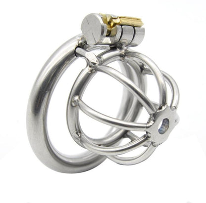 Stainless Steel Mini Chastity Cage Lock