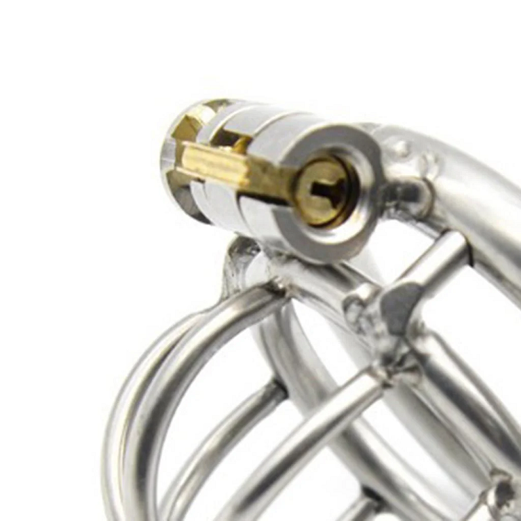 Stainless Steel Mini Chastity Cage Lock