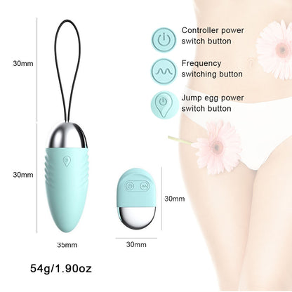 Wireless Remote Control Vibrating Egg